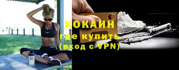 стаф Алзамай