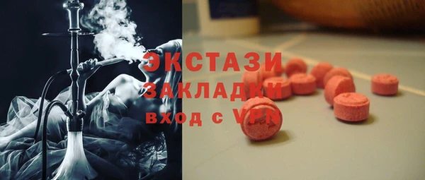 стаф Алзамай