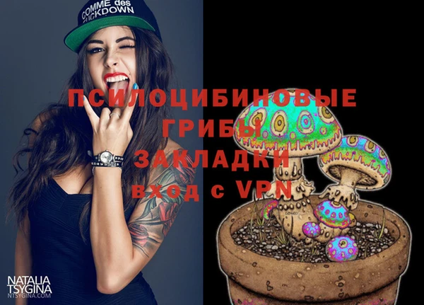 стаф Алзамай