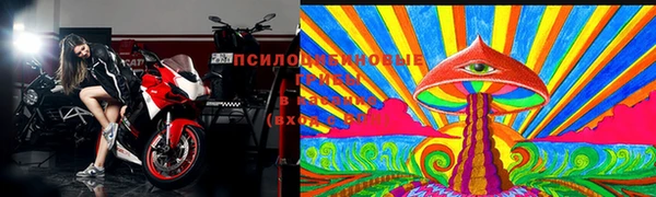стаф Алзамай