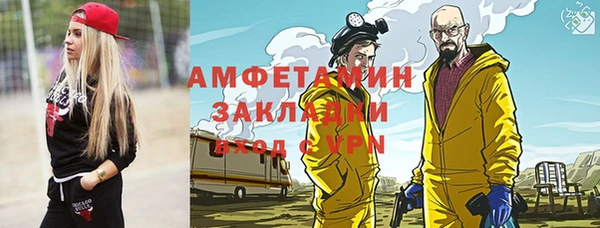 стаф Алзамай