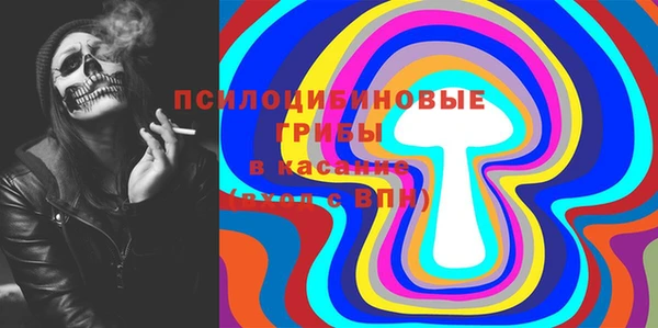 кокс Каменка