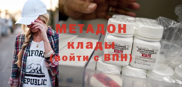 стаф Алзамай