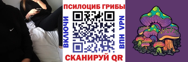 Псилоцибиновые грибы Cubensis  что такое   blacksprut онион  Белебей 