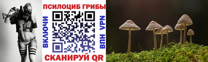 Псилоцибиновые грибы Magic Shrooms Белебей