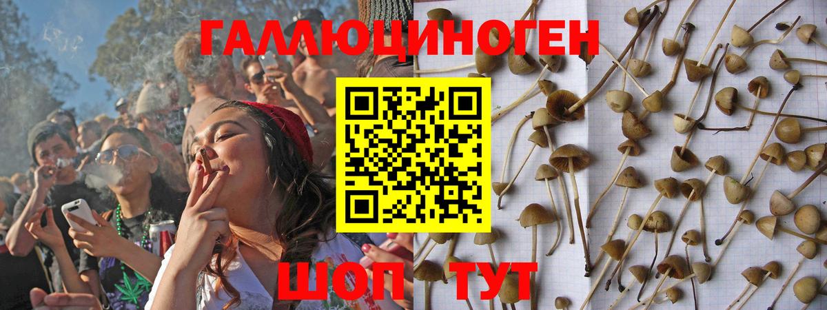Белебей  Псилоцибиновые грибы мицелий  где можно купить наркотик  Вход с VPN 